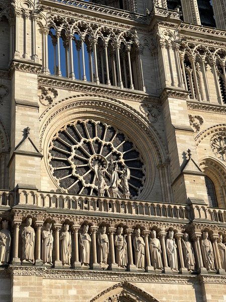 нотр-дам после пожара Собор Парижской Богоматери